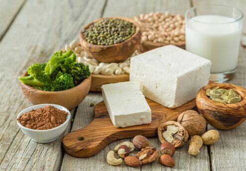 allowed foods with a protein diet